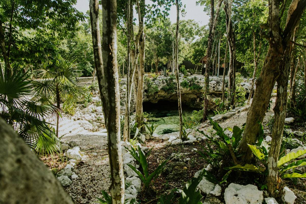 Cenote im Dschungel der Riviera Maya, Süßwasser unter einem Felsüberhang